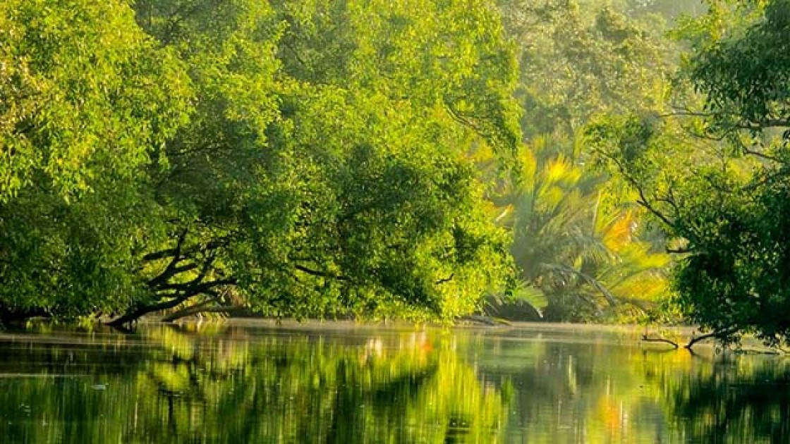 সুন্দরবন ভ্রমণ পিপাসুদের জন্য সুখবর