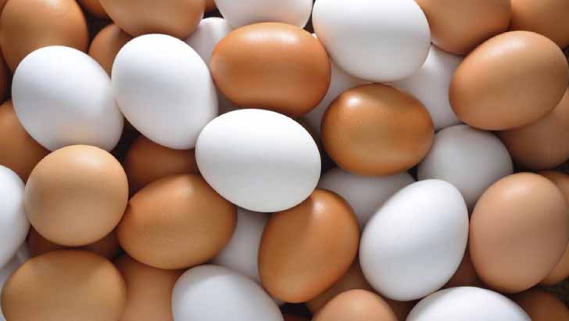 চার কোটি ডিম আমদানির অনুমোদন