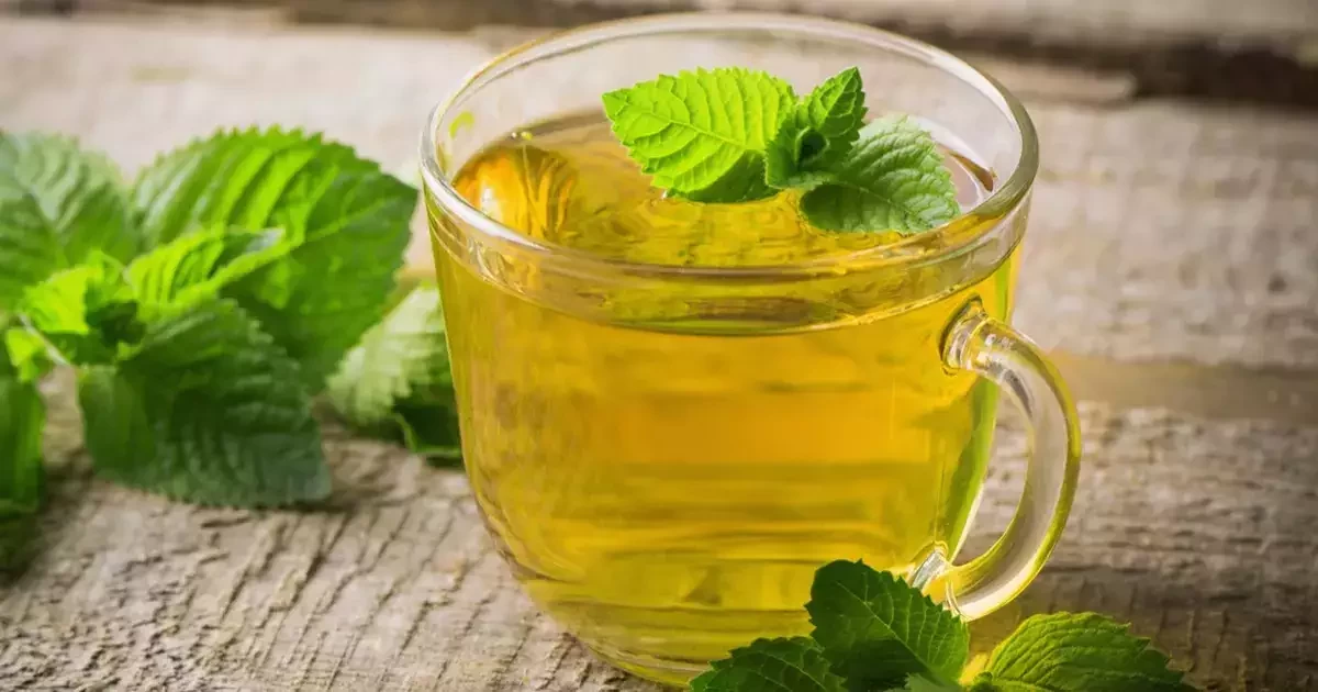 মাইগ্রেন ও সাইনাসের ব্যথা কমায় পুদিনার চা