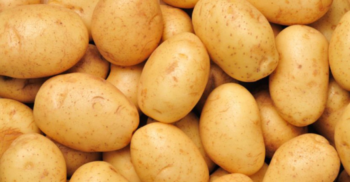 আলুর যত পুষ্টিগুণ