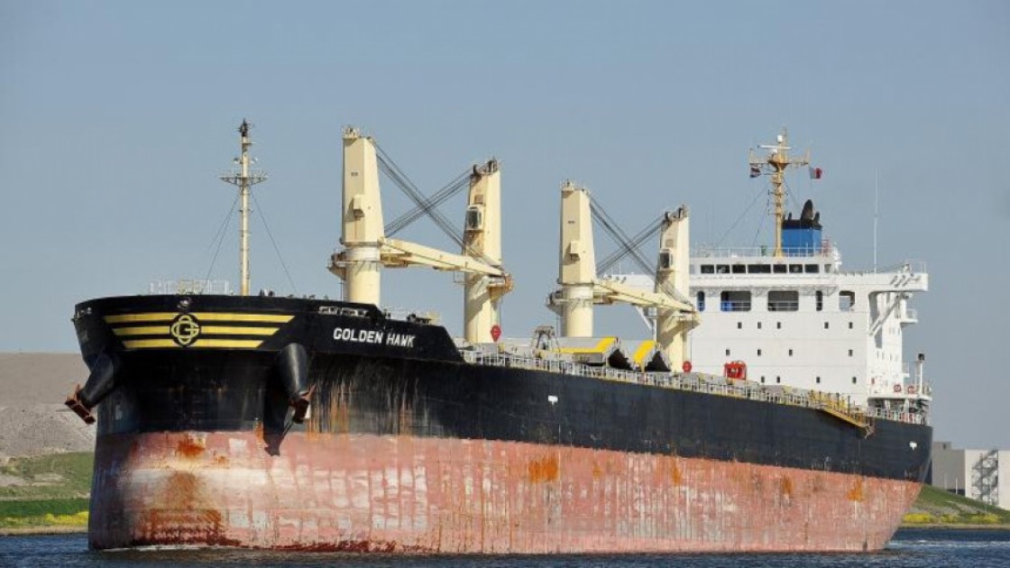 এমভি আবদুল্লাহ ছিনতাইয়ে জড়িত ৮ সোমালিয়ান জলদস্যু গ্রেপ্তার